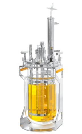 batch glass reactor type