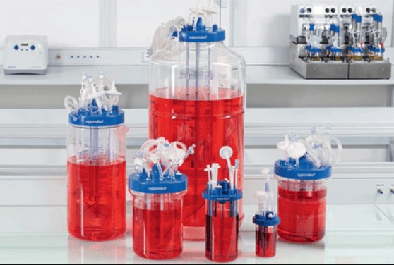 Cell cultures with glass bioreactors