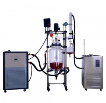 chemcial glass reactor costs