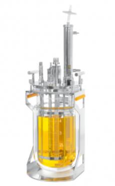 chemical glass reactor for batch use