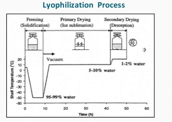 how does lyophilization work