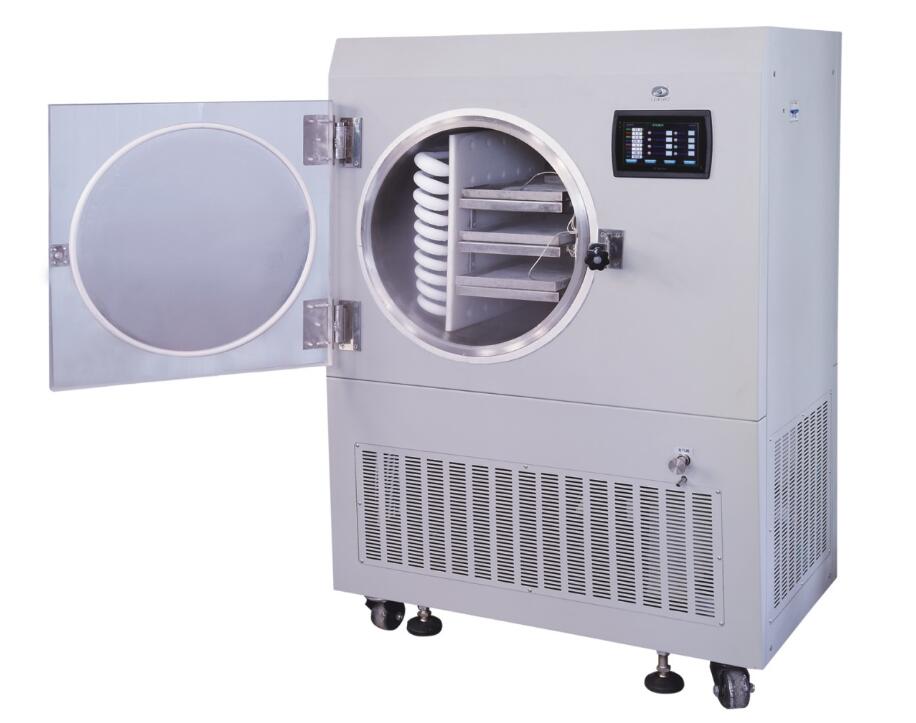 freezer dryer for molecular cooking