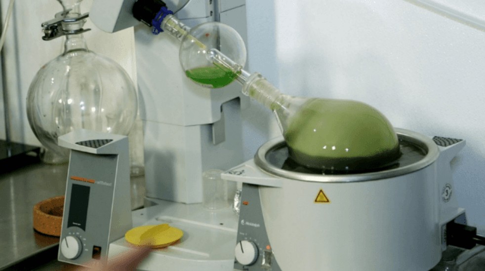 plant extraction using rotary evaporator