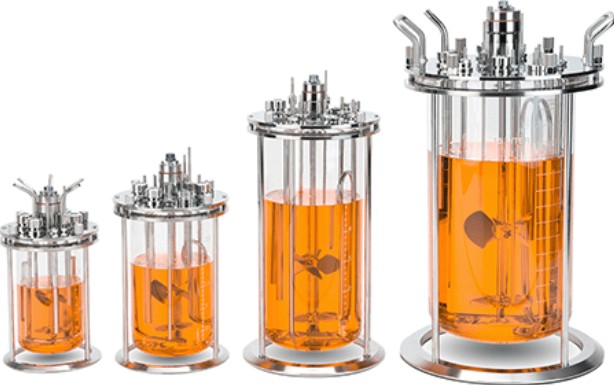 features of Glass Bioreactors